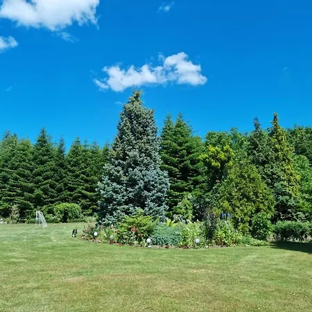 Apartamento Pod Cisem *