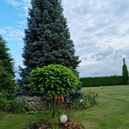 Pod Cisem * Kierzkowo (Wejherowo)