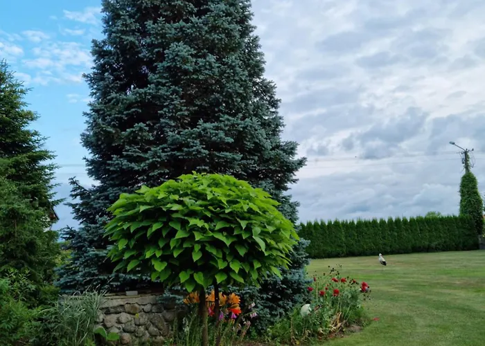 Pod Cisem * Kierzkowo (Wejherowo)